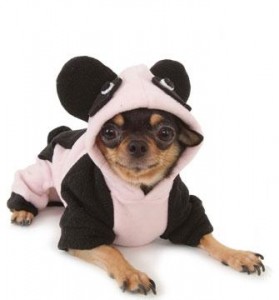 Happy Panda Costume PA-SD007 small image